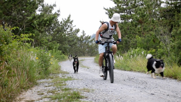 ▲'동물극장 단짝'(사진제공=KBS 1TV)