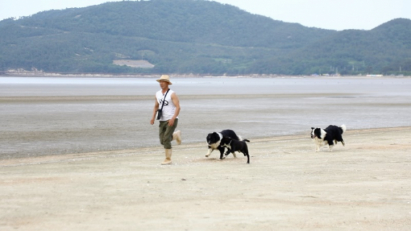 ▲'동물극장 단짝'(사진제공=KBS 1TV)