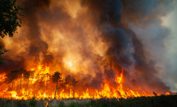 ▲프랑스 남서부 랑디라스 인근에 16일(현지시간) 산불이 발생해 검은 연기가 자욱하다. 유럽에서는 폭염과 함께 건조한 날씨가 며칠간 지속되면서 산불이 곳곳에서 발생하고 있다. 지롱드/AP뉴시스
