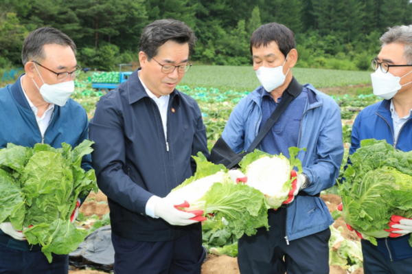 ▲정황근 농림축산식품부 장관이 강원도 평창군 진부면 여름배추 출하 현장을 찾아 배추 작황 상태와 병충해, 장마 대응 상황 등을 점검하고 있다.  (사진제공=농림축산식품부)