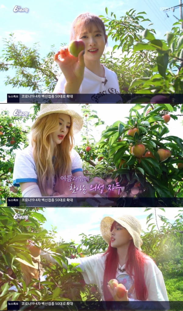 ▲'6시내고향'(사진제공=KBS 1TV)