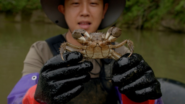 ▲'요즘 것들이 수상해'(사진제공=KBS 2TV)