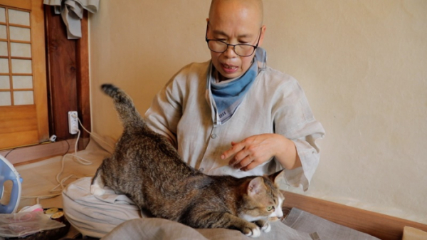 ▲'동물극장 단짝'(사진제공=KBS 1TV)