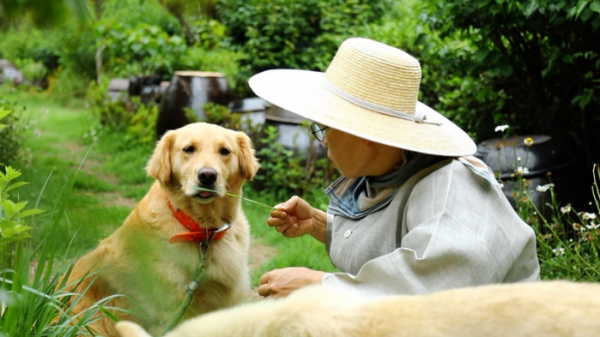 ▲'동물극장 단짝'(사진제공=KBS 1TV)