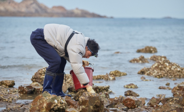 ▲'허섬세월'(사진제공=JTBC)