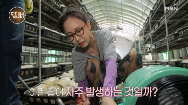 ▲옌청쉬(헤라)(사진=MBN 방송화면 캡처)