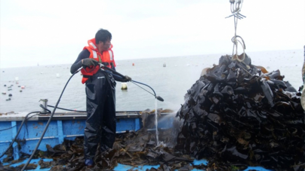 ▲'동행'(사진제공=KBS 1TV)