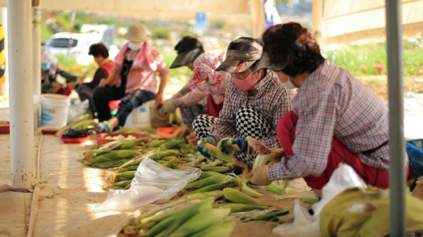 ▲'동네한바퀴' 여수(사진제공=KBS 1TV)