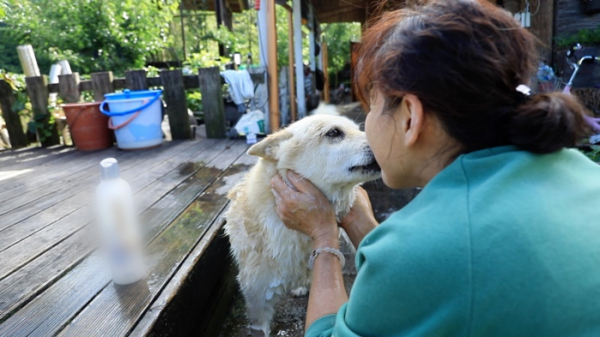 ▲'동물극장 단짝'(사진제공=KBS 1TV)