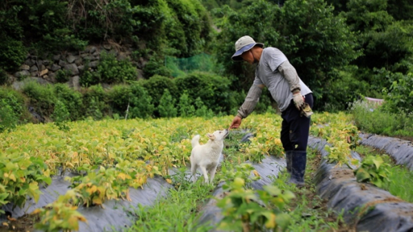 ▲'동물극장 단짝'(사진제공=KBS 1TV)