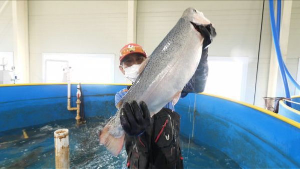 ▲'극한직업'(사진제공=EBS1)