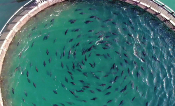 ▲'극한직업'(사진제공=EBS1)