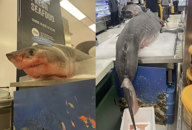 (온라인 커뮤니티 캡처.)