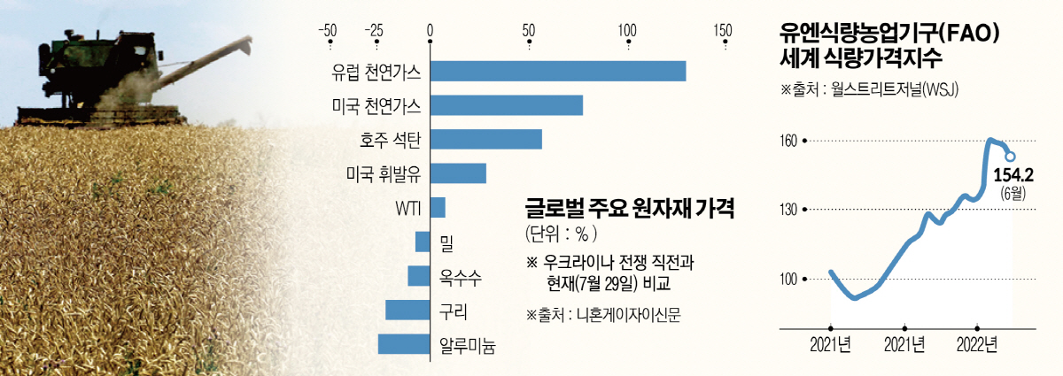 ▲우크라이나 마리우폴 외곽 노보아조브스크에서 7월 31일(현지시간) 밀 수확이 진행 중이다. 노보아조브스크/AFP연합뉴스