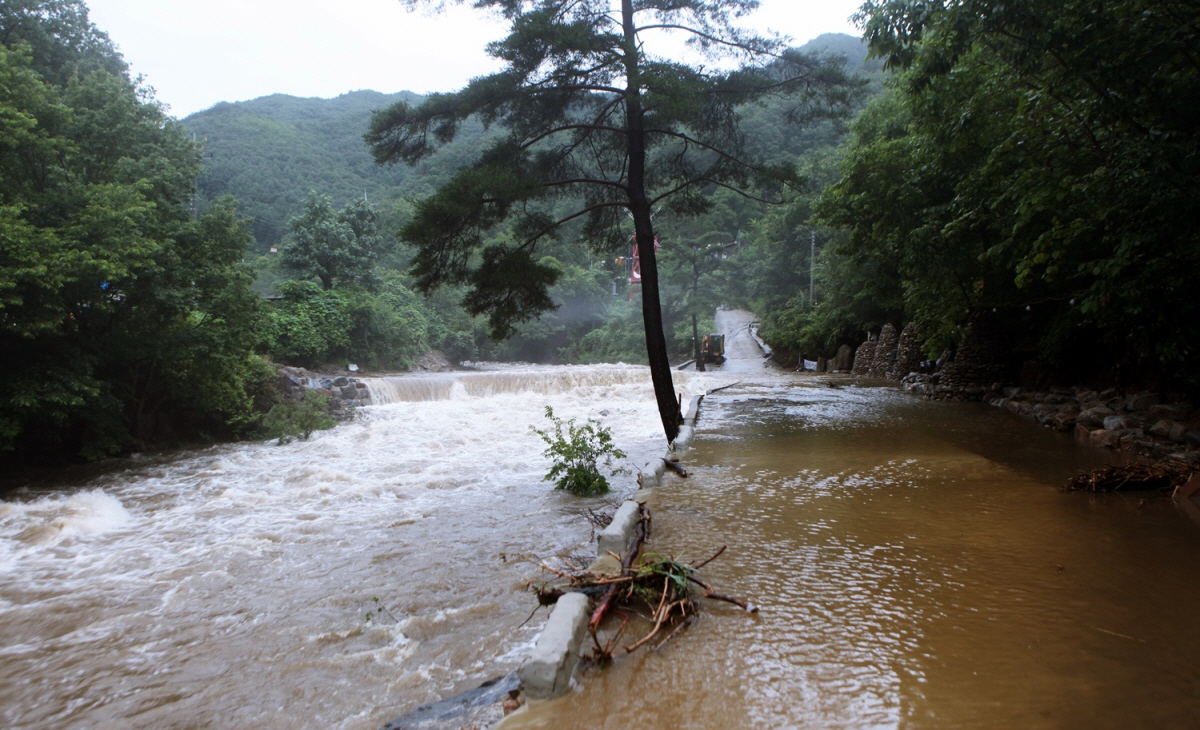 ▲참고를 위한 자료 사진.  (뉴시스)
