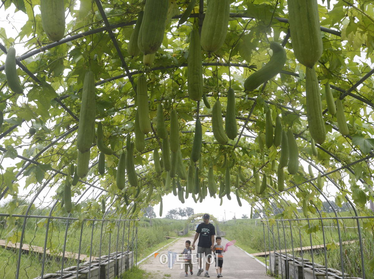 ( 조현호 기자 hyunho@)