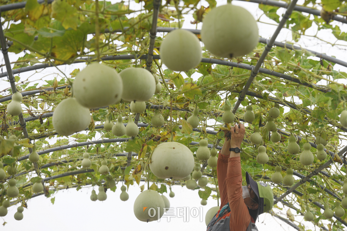 ( 조현호 기자 hyunho@)