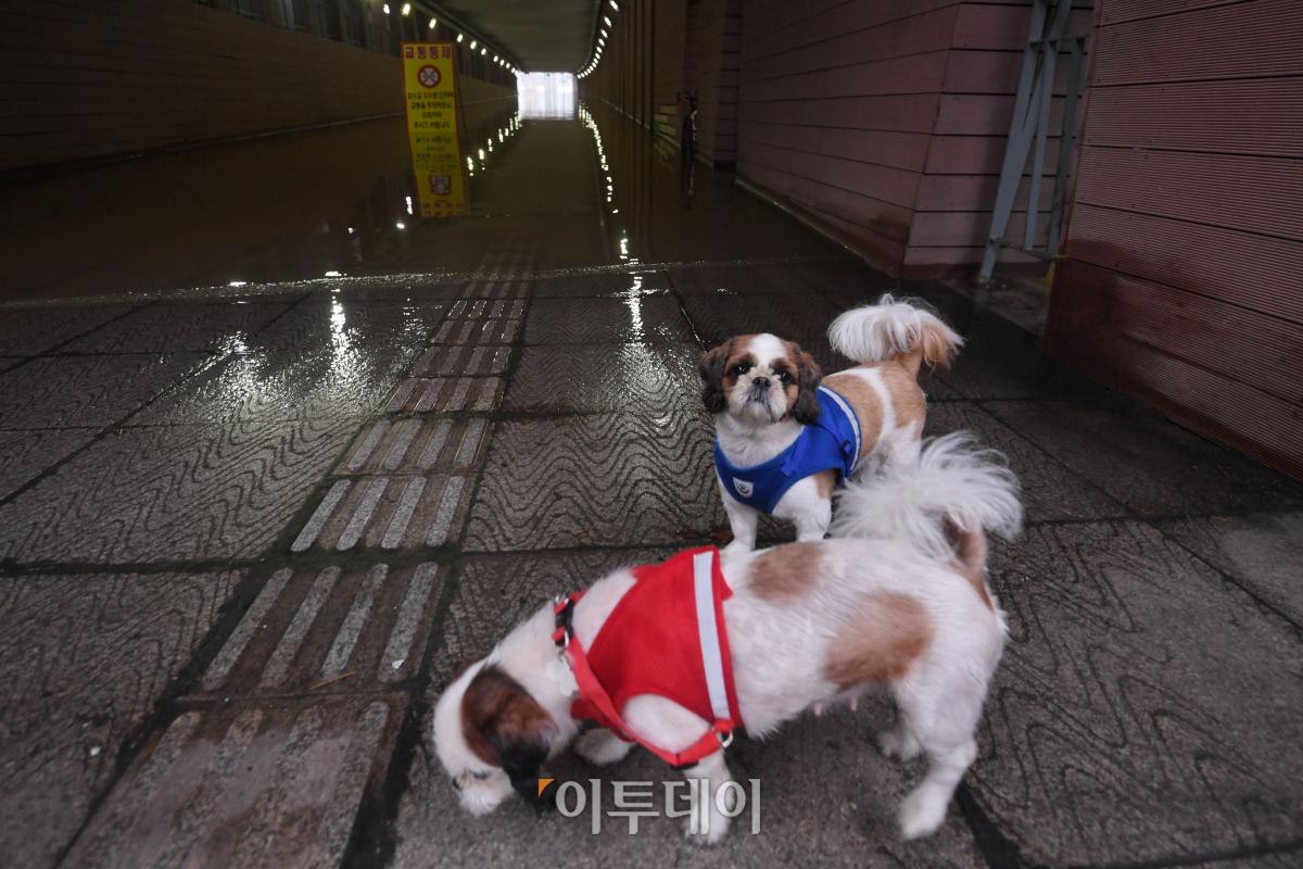 (조현호 기자 hyunho@)