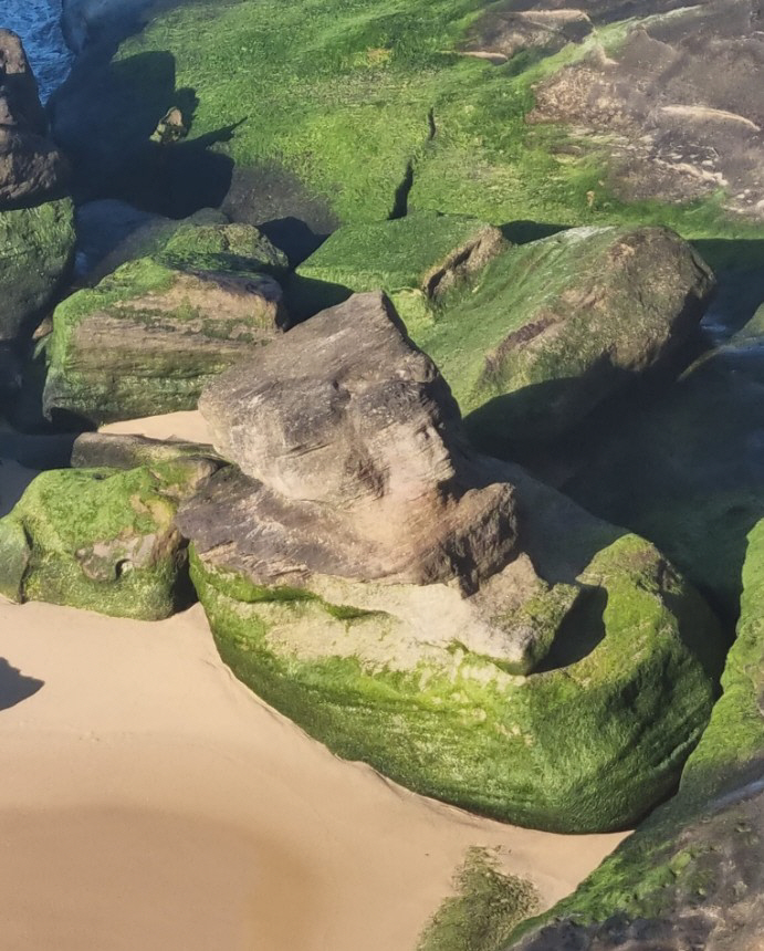 ▲(출처= 케빈 데코스타 페이스북)
