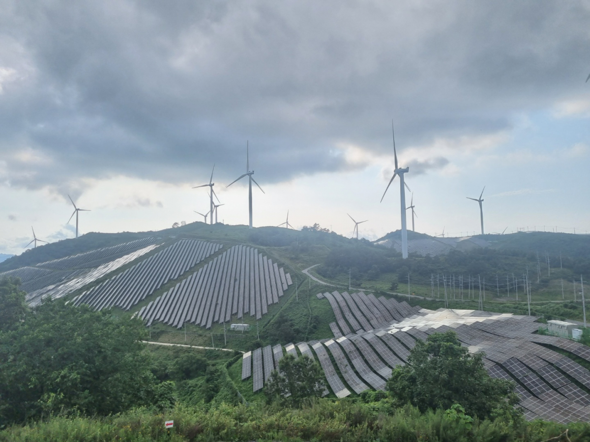 ▲대명에너지 영암발전소 전경. 지형 훼손을 최소화하기 위해 지면을 따라 설치한 태양광 모듈이 인상적이다. (박기영 기자 pgy@)