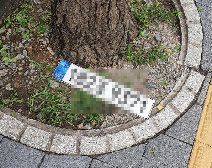 ▲(커뮤니티 캡처)
