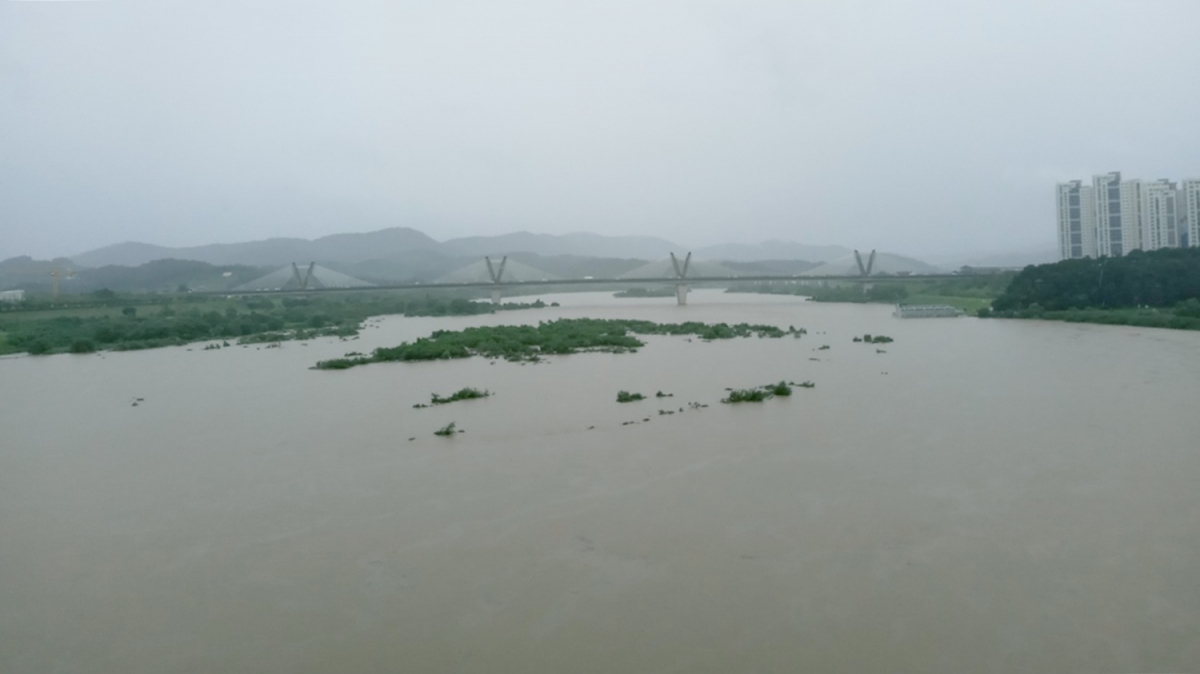 ▲10일 오전부터 11일 새벽까지 세종시에 쏟아진 폭우로 시내를 관통하는 금강이 물바다로 변해 있다. (연합뉴스)