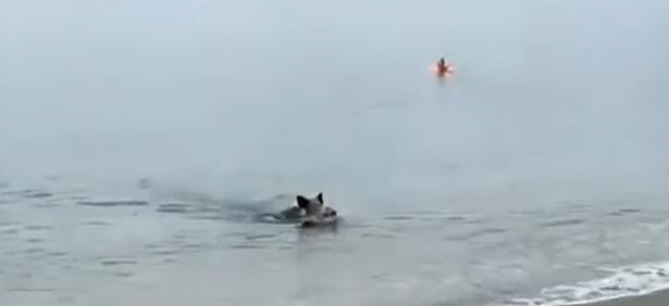 ▲(출처= 유튜브 캡처)