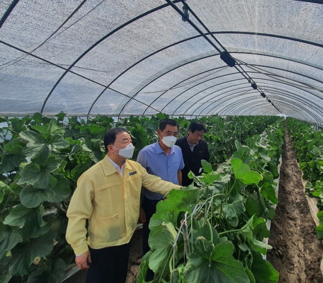 ▲최문섭 NH농협손보 대표이사(왼쪽)가 정동현 규암농협 조합장과 함께 피해 현장을 둘러보고 있다. (NH농협손해보험)