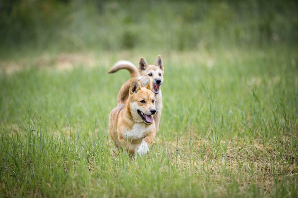 (이미지투데이)