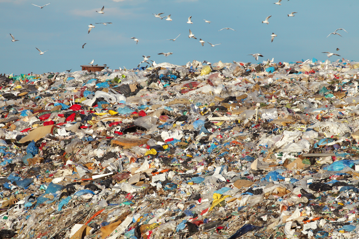 ▲(출처=게티이미지뱅크)