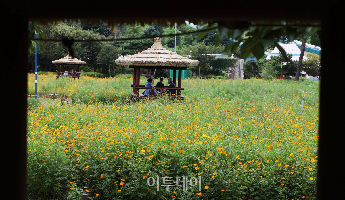 (조현욱 기자 gusdnr8863@)