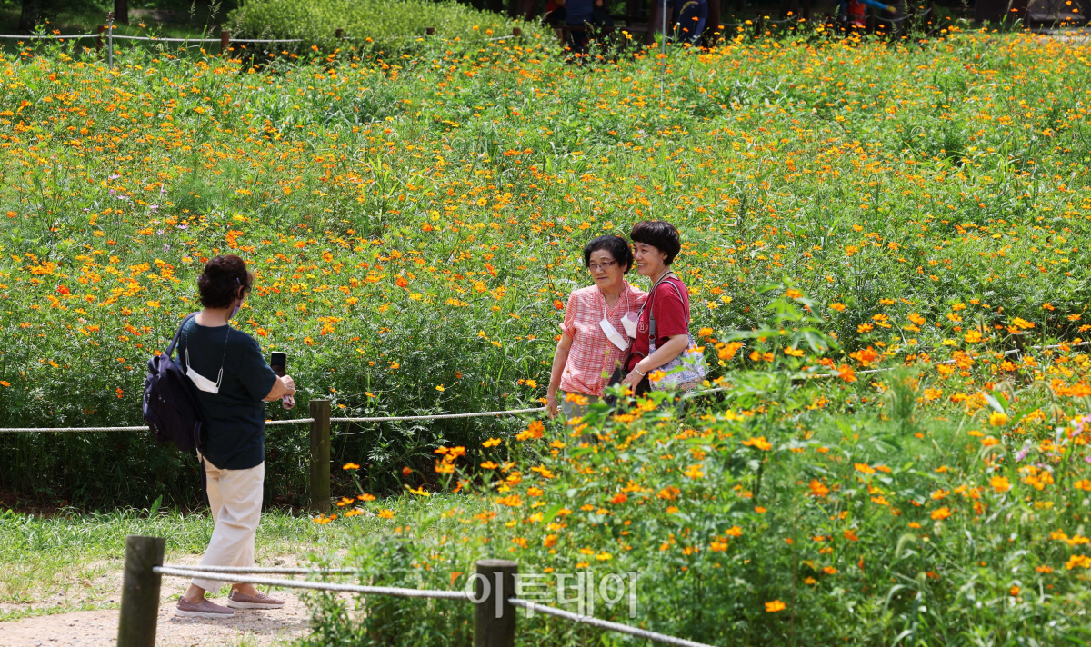 (조현욱 기자 gusdnr8863@)