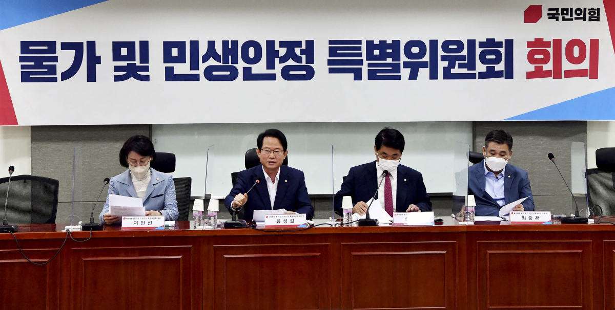 ▲[서울=뉴시스] 최진석 기자 = 23일 서울 여의도 국회 의원회관에서 열린 국민의힘 물가 및 민생안정특별위원회 회의에서 류성걸(왼쪽 두번째) 위원장이 발언을 하고 있다. (공동취재사진) 2022.08.23. photo@newsis.com