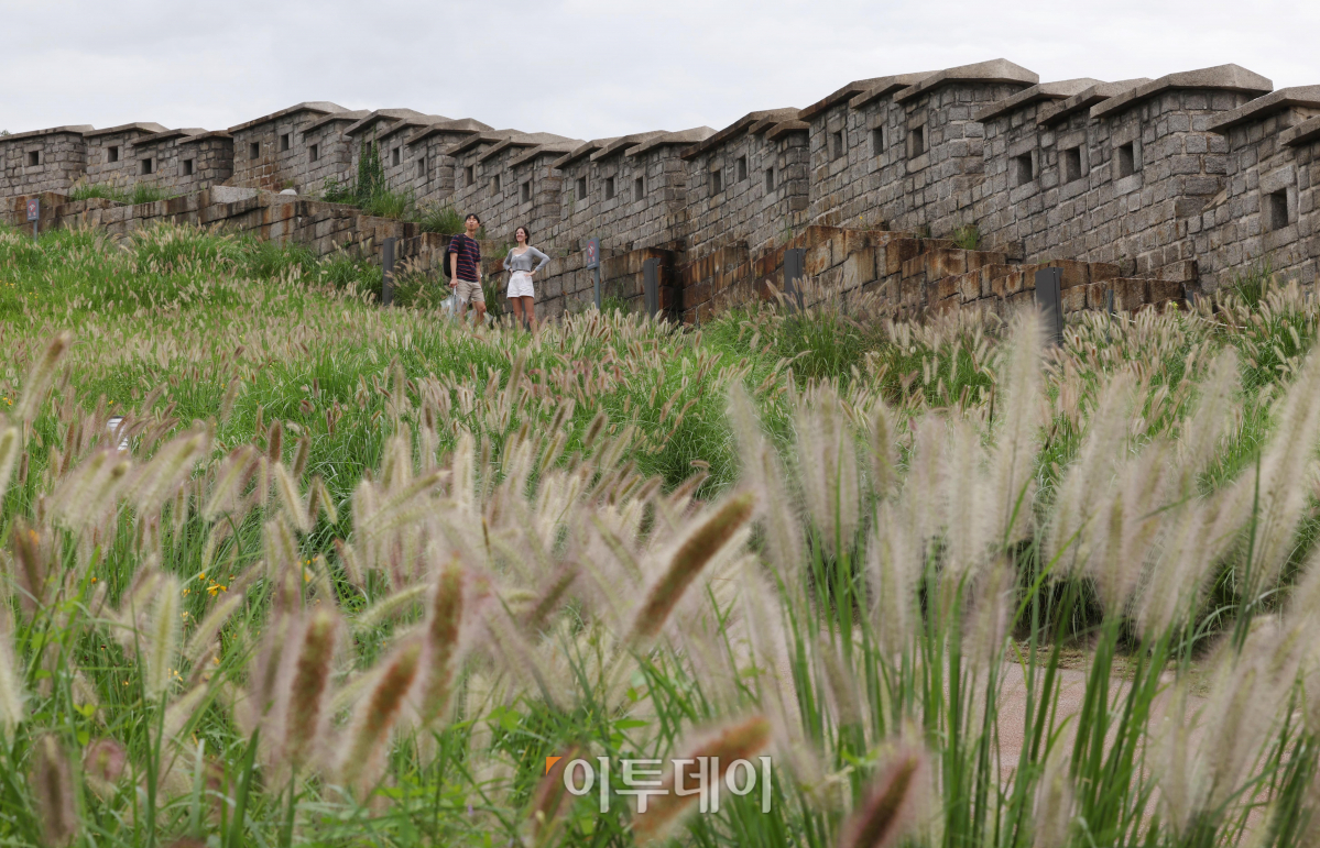 (조현욱 기자 gusdnr8863@)