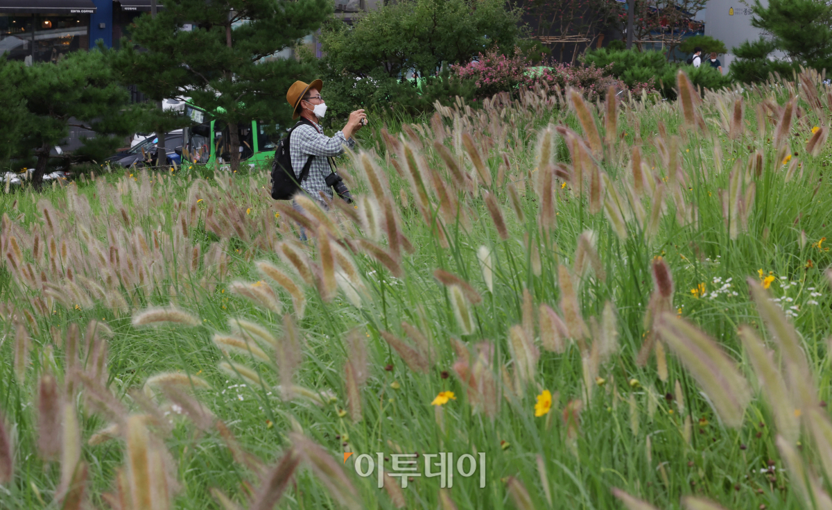 (조현욱 기자 gusdnr8863@)