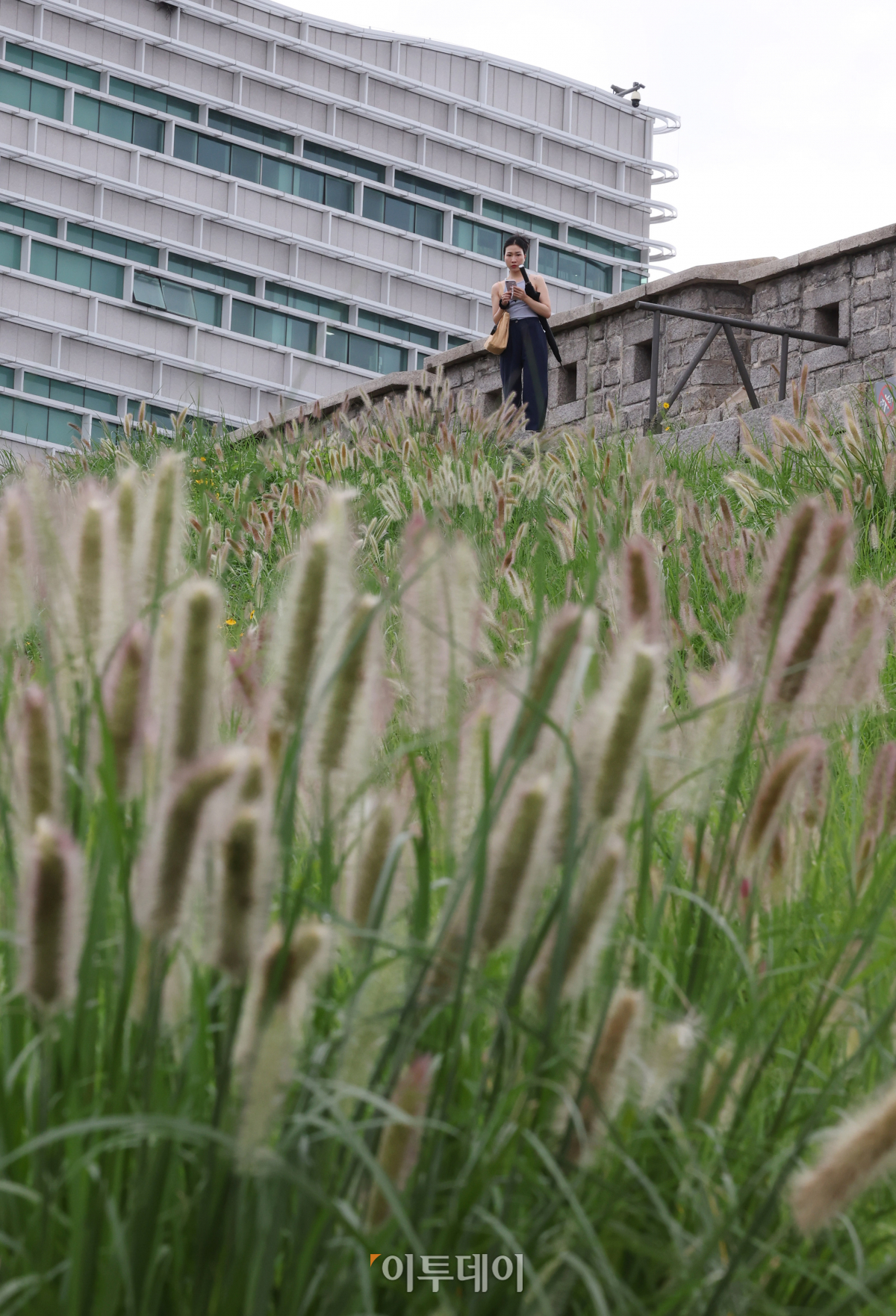 (조현욱 기자 gusdnr8863@)