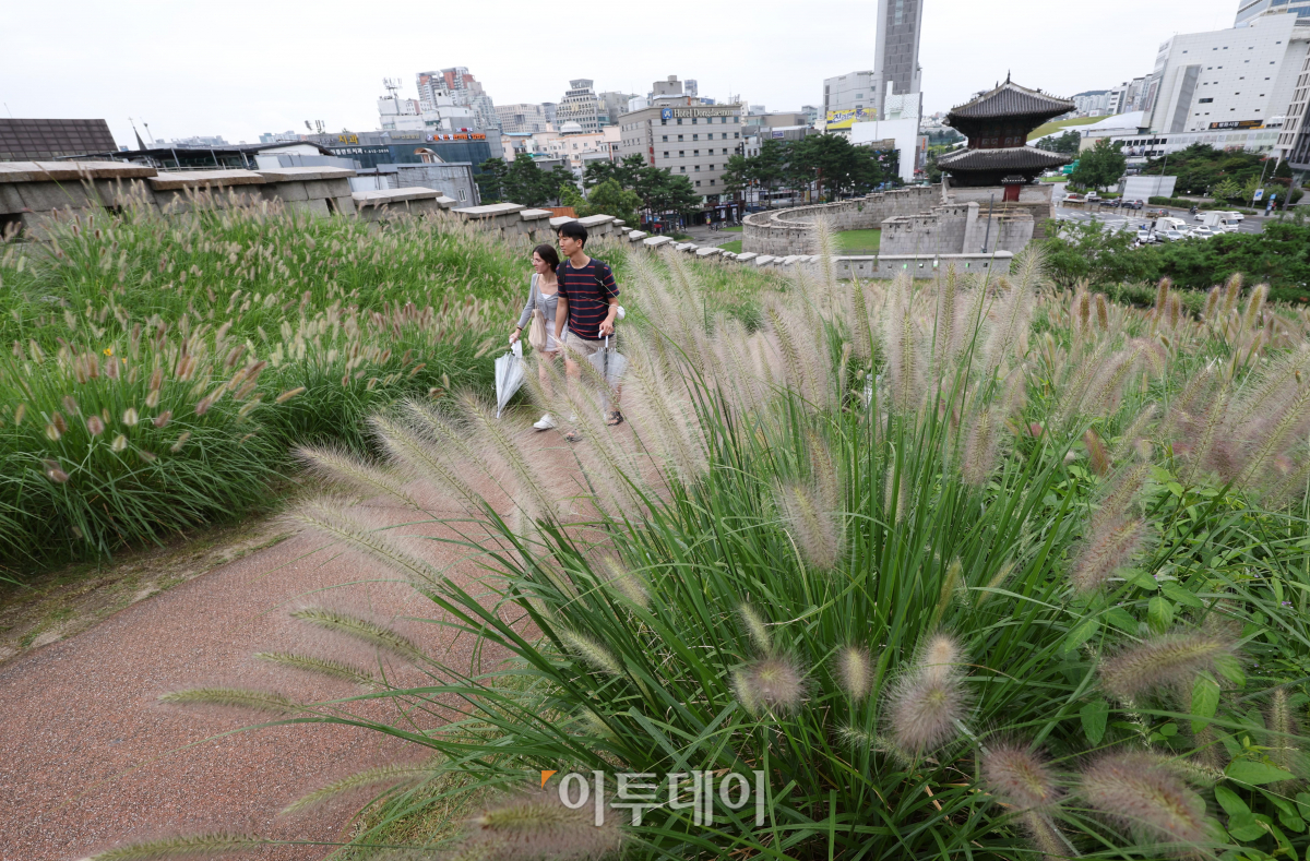 (조현욱 기자 gusdnr8863@)