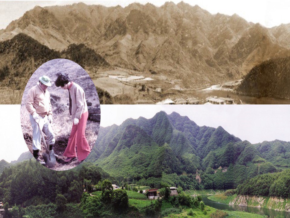 ▲최종현 SK 선대회장이 충북 충주시 인등산 임야를 사들여 조림 사업을 진행한 결과, 1970년대 초반(위)과 현재(아래) 풍경이 크게 달라졌다. 원 안은 최종현 선대회장이 부인 故 박계희 여사와 인등산에 나무를 심는 모습. (사진제공=SK)