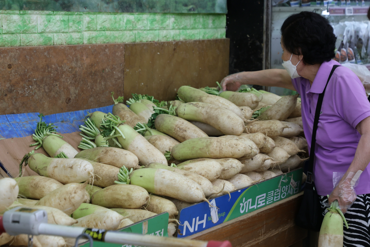 ▲25일 서울 서초구 하나로마트 양재점 채소 코너에서 시민들이 장을 보고 있다. (연합뉴스)