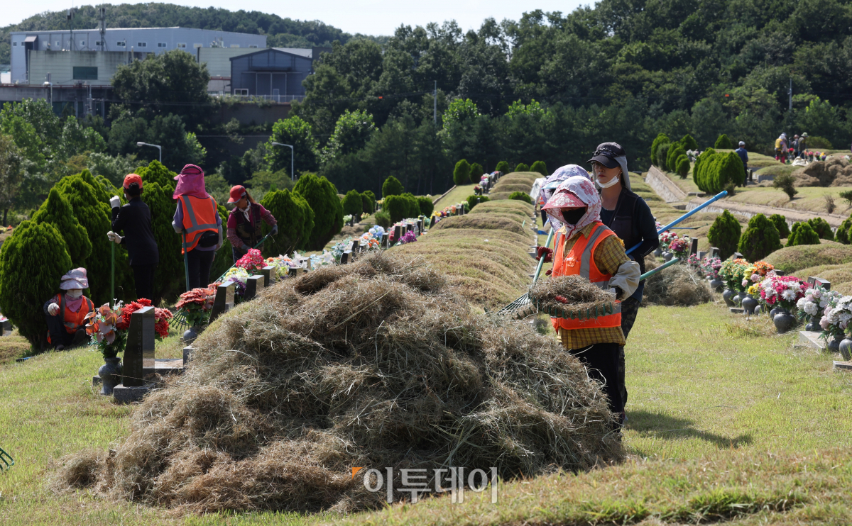 (조현욱 기자 gusdnr8863@)