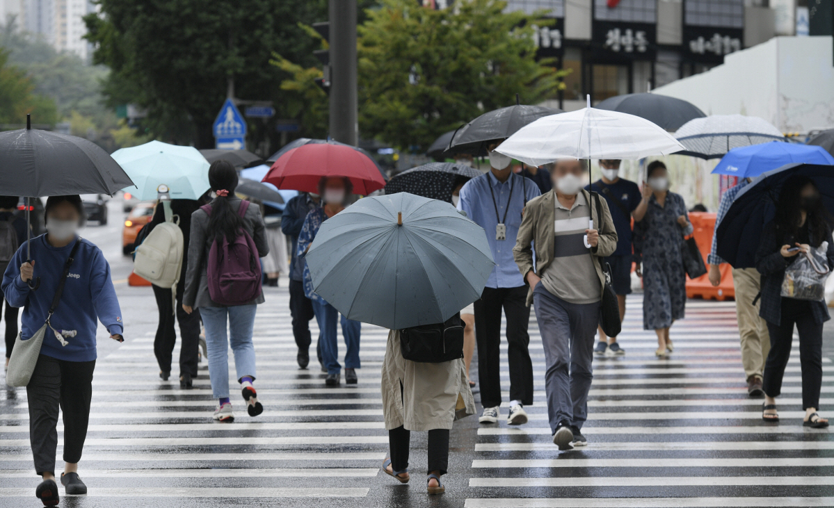 ▲조현호 기자 hyunho@
