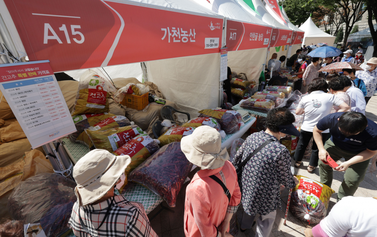 ▲ 3년 만에 서울광장에서 영양고추 HOT페스티벌이 열렸다.  (연합뉴스)