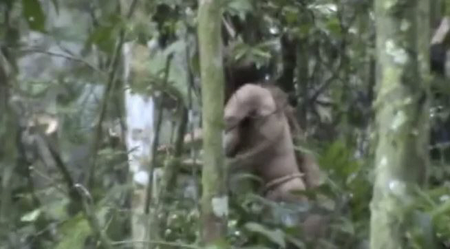 ▲아마존 밀림에서 25년 넘게 외계와 고립된 채 살다 생을 마감한 원주민. 출처 : 브라질 국립원주민보호재단 유튜브 캡처
