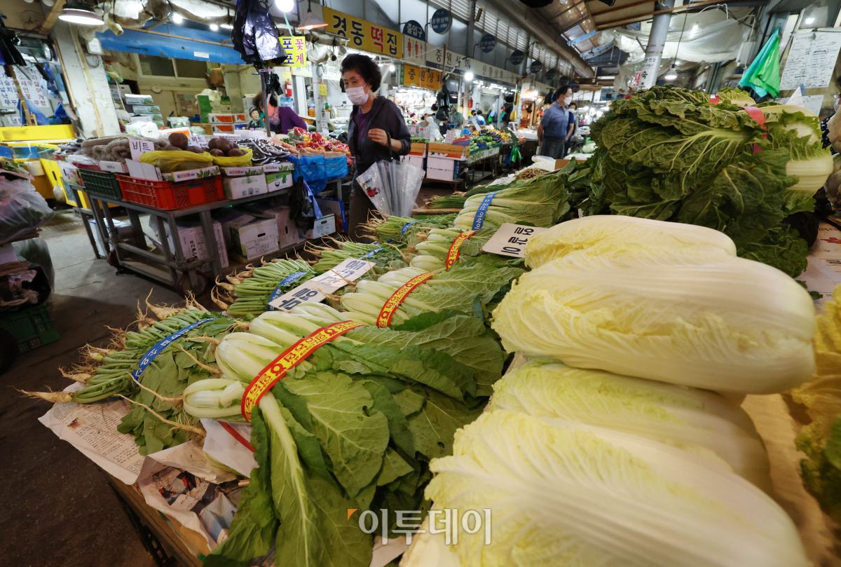 (조현욱 기자 gusdnr8863@)