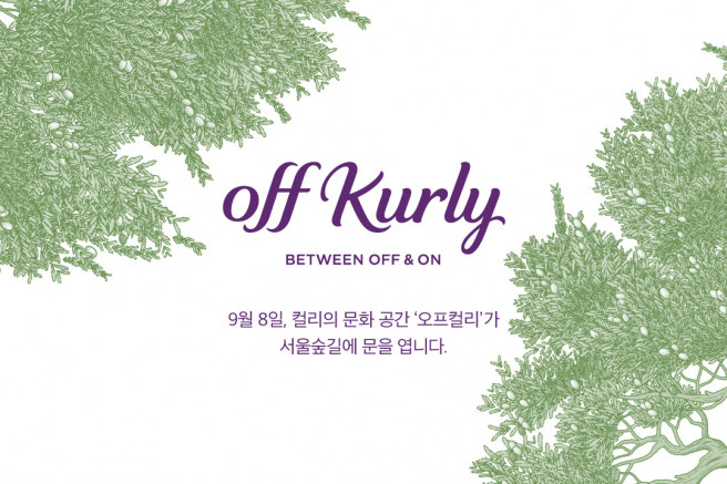 ▲자료제공=컬리