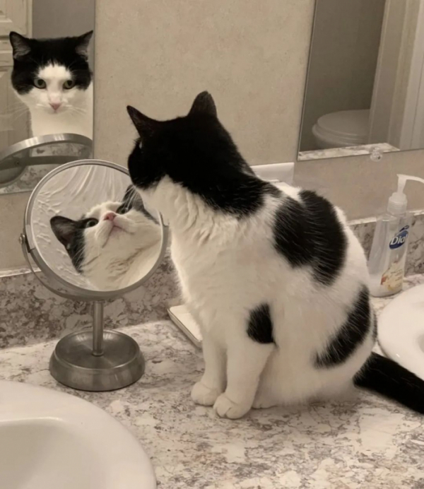 ▲임영웅(사진=임영웅 인스타그램)