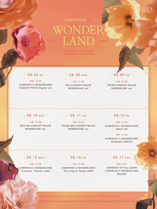 (사진 = 루미너스 공식 SNS 제공)