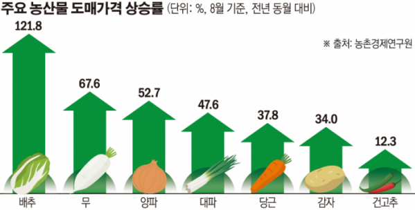 ▲주요 농산물 도매가격 상승률 (손미경)
