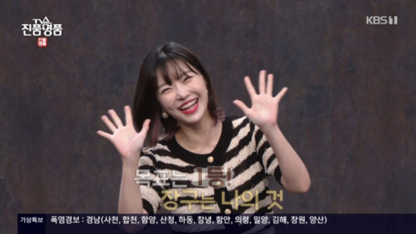 ▲레이디제인(사진=KBS1 '진품명품' 방송화면 캡처)