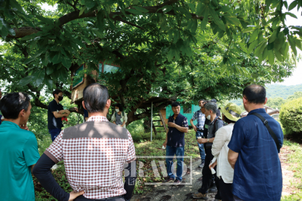 ▲정성훈 슬로우파머 대표가 임산물 재배에 대해 얘기하고 있다.